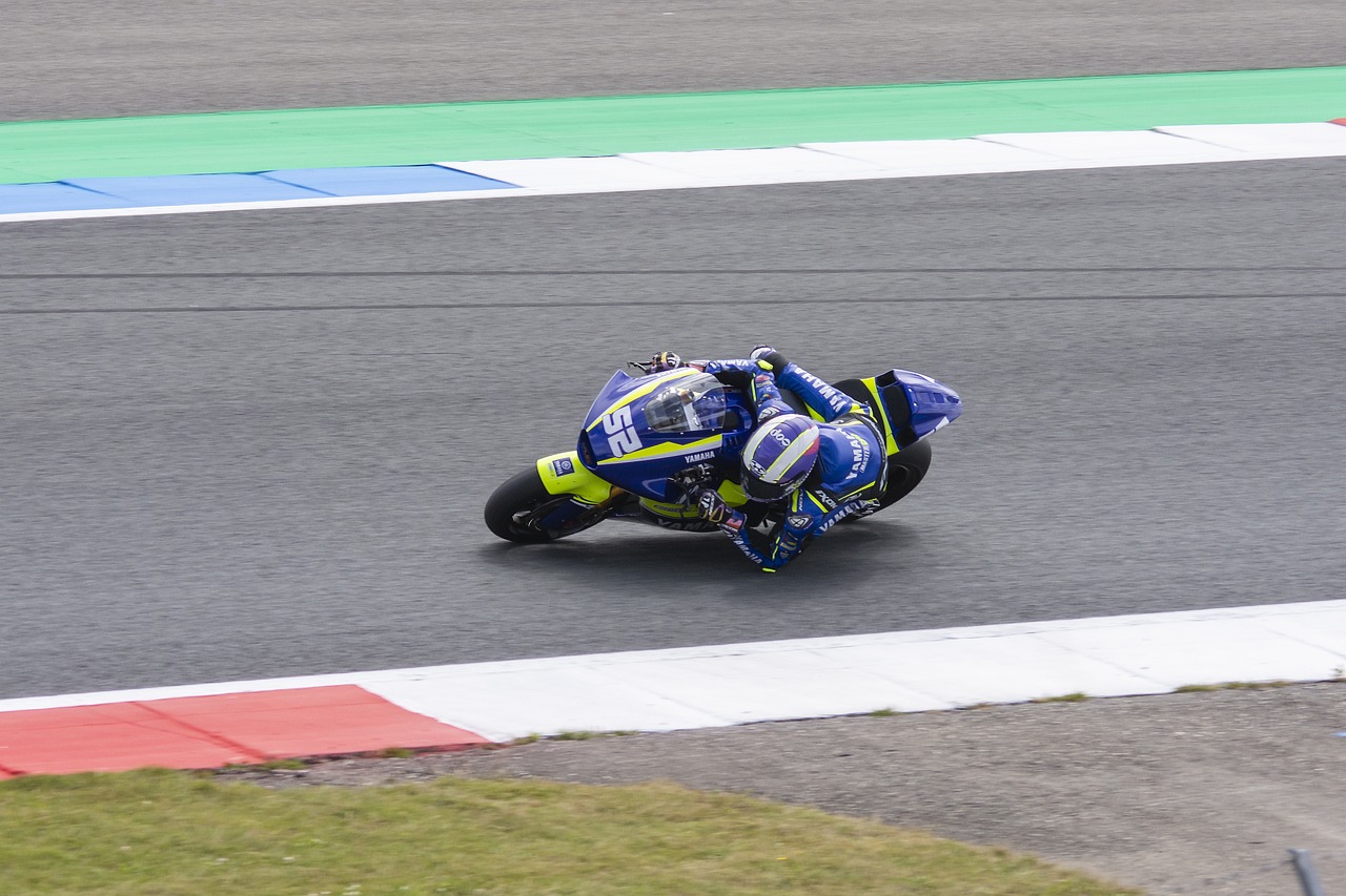 识的体现 识的体现