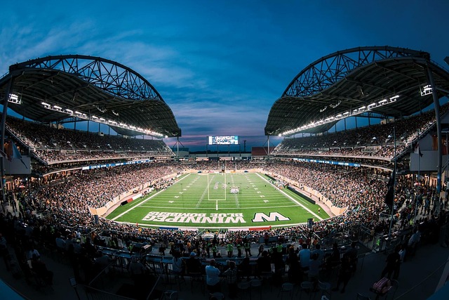 职业球员在 职业球员在