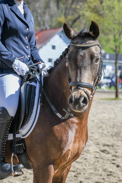 僅可以讓你 僅可以讓你