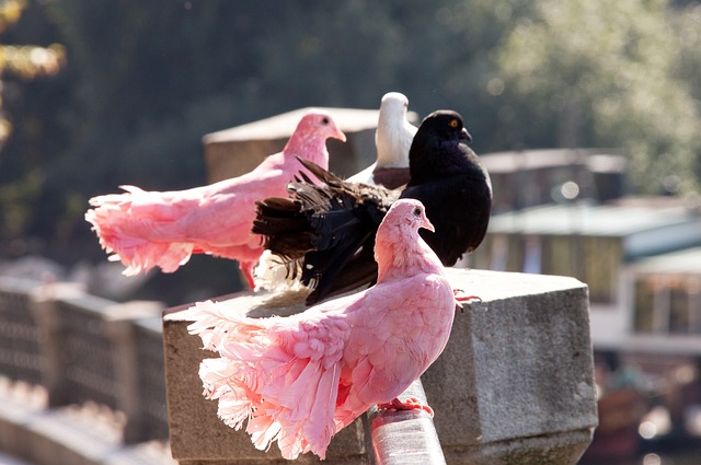皇马控球率 皇马控球率