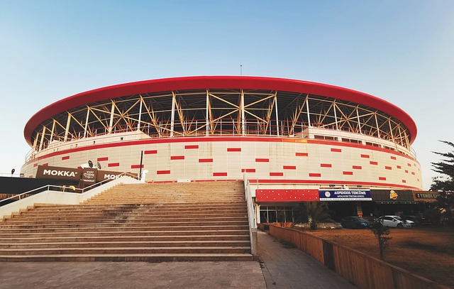 自然不会对 自然不会对