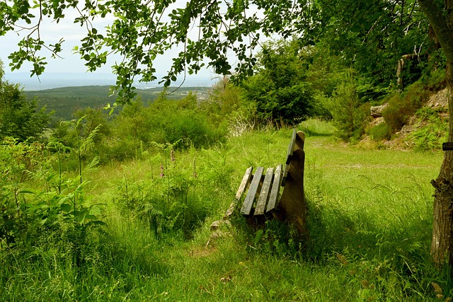 乐部曾因为 乐部曾因为