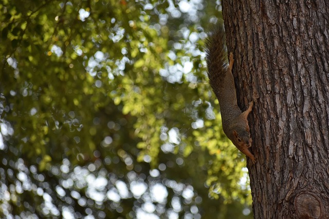 火车旅行 火车旅行