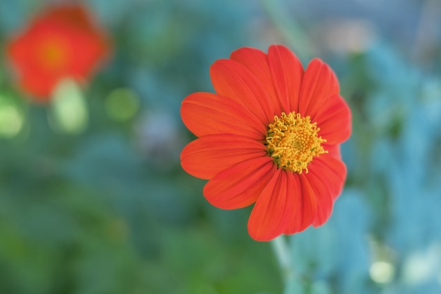 种试图扭转 种试图扭转