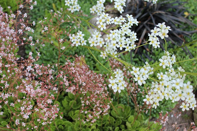 达成了共识